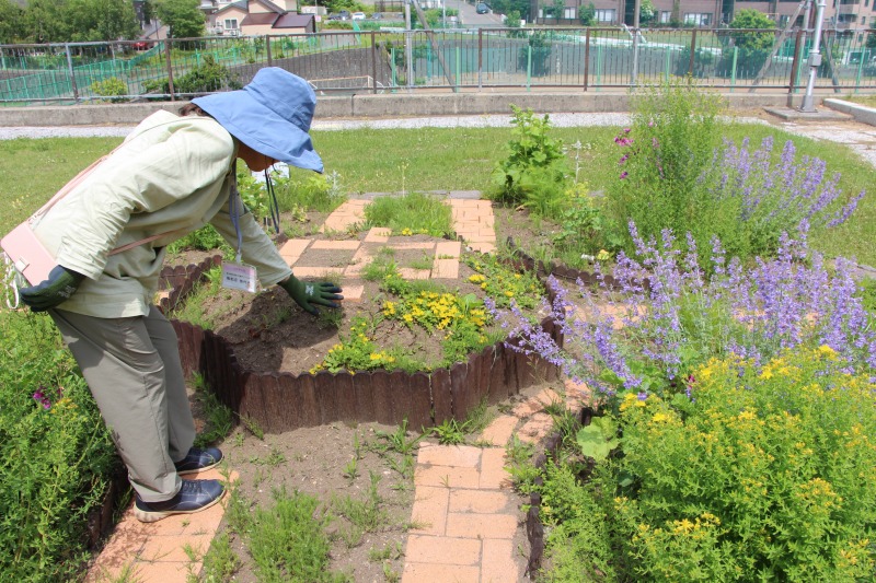 校章のマークの花壇