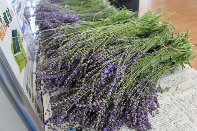 持ち帰り用に準備された花束
