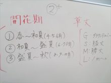 植物の分類のしかた