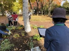 花壇の植物の位置を書き出しているところ