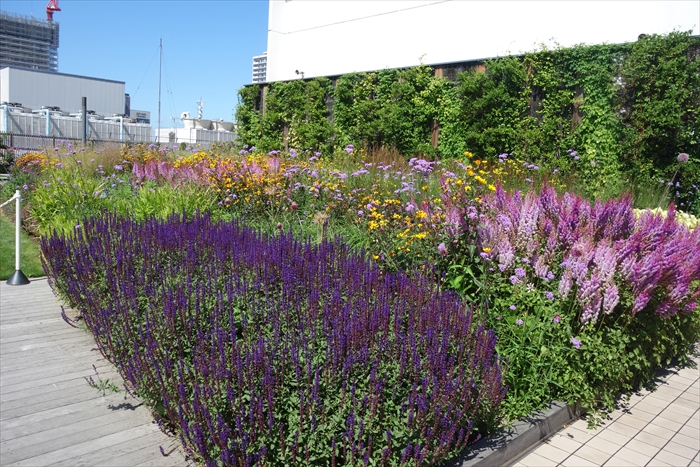 そらのガーデン