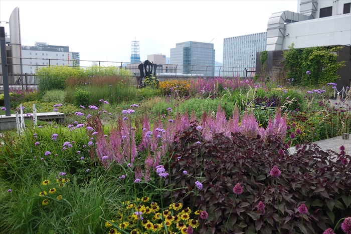 そらのガーデン