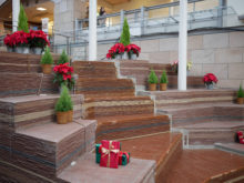 流れの周りもコニファーとポインセチア