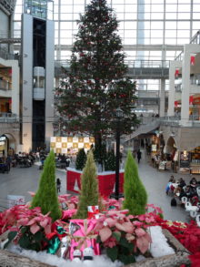 フォトスポットから　花と雪だるま、背景に巨大ツリー