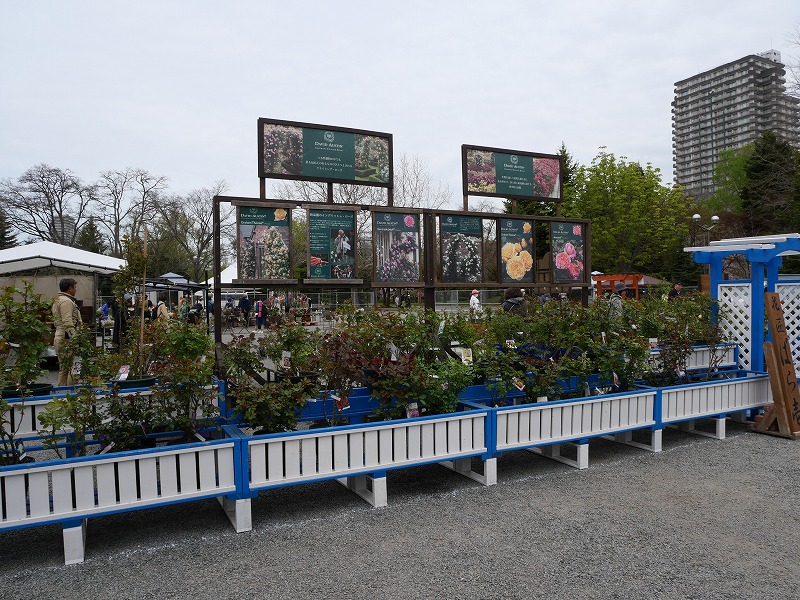 バラ専門店の出店の様子