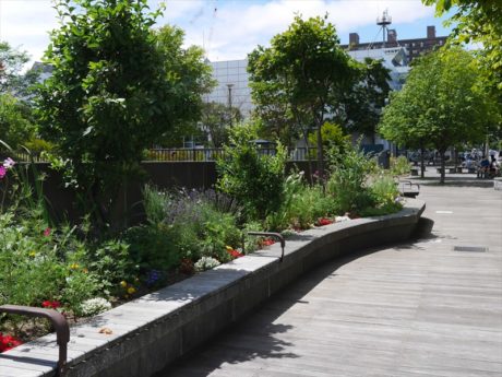 新さっぽろ駅2番出口の花壇