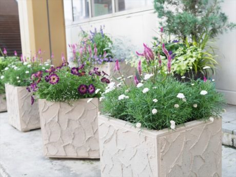 商業施設の鉢植え　ピンクや紫の色合いがすてき