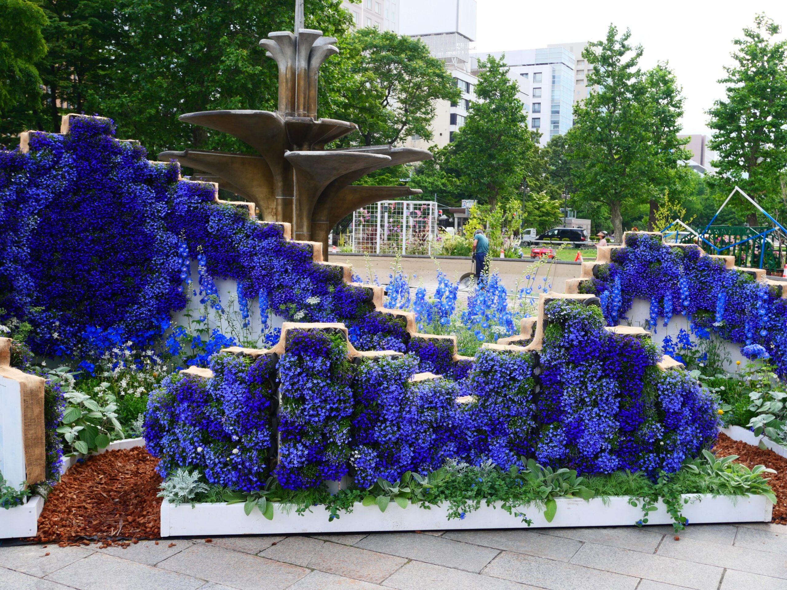 ガーデニング甲子園の作品