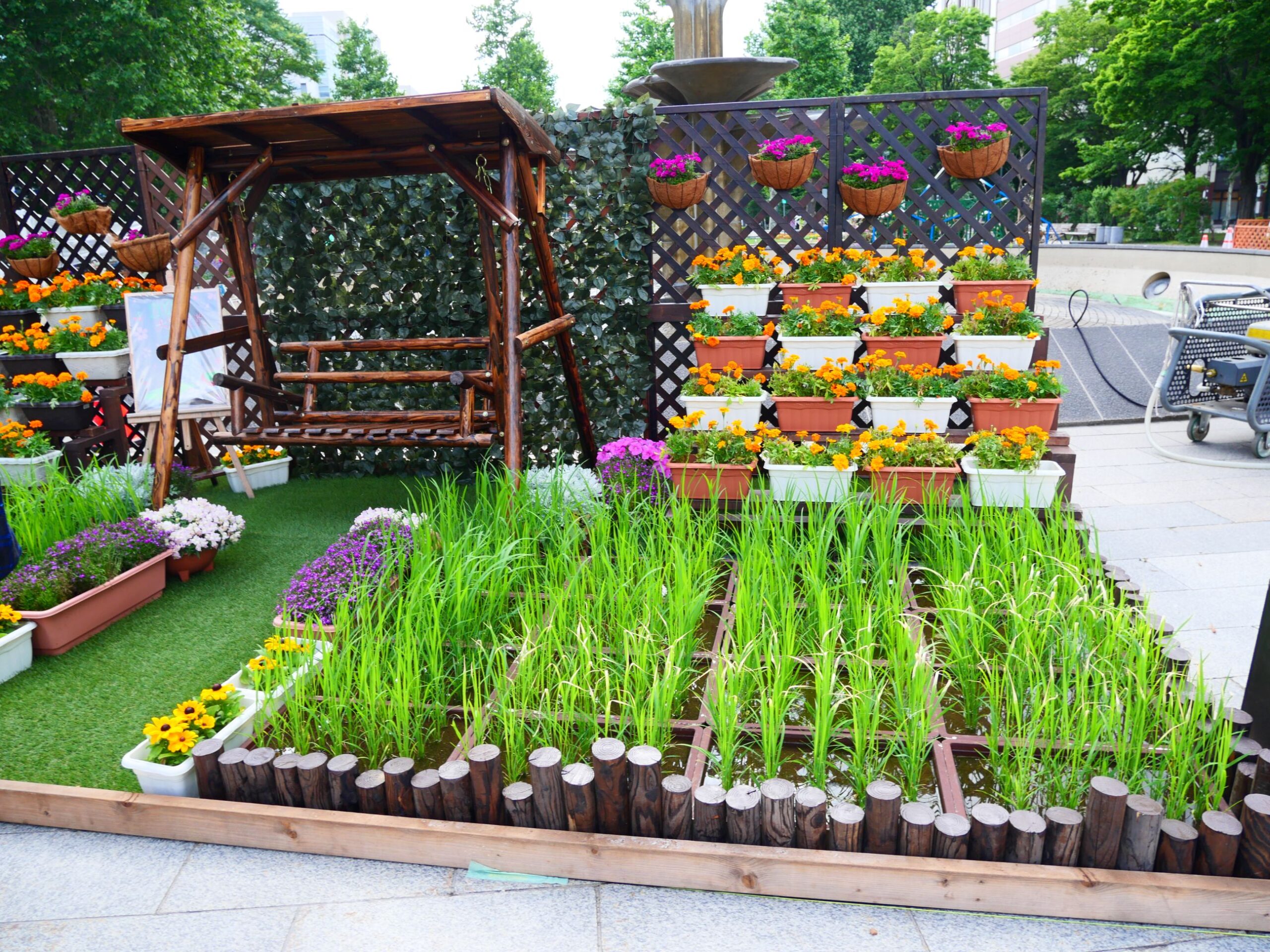 ガーデニング甲子園の作品