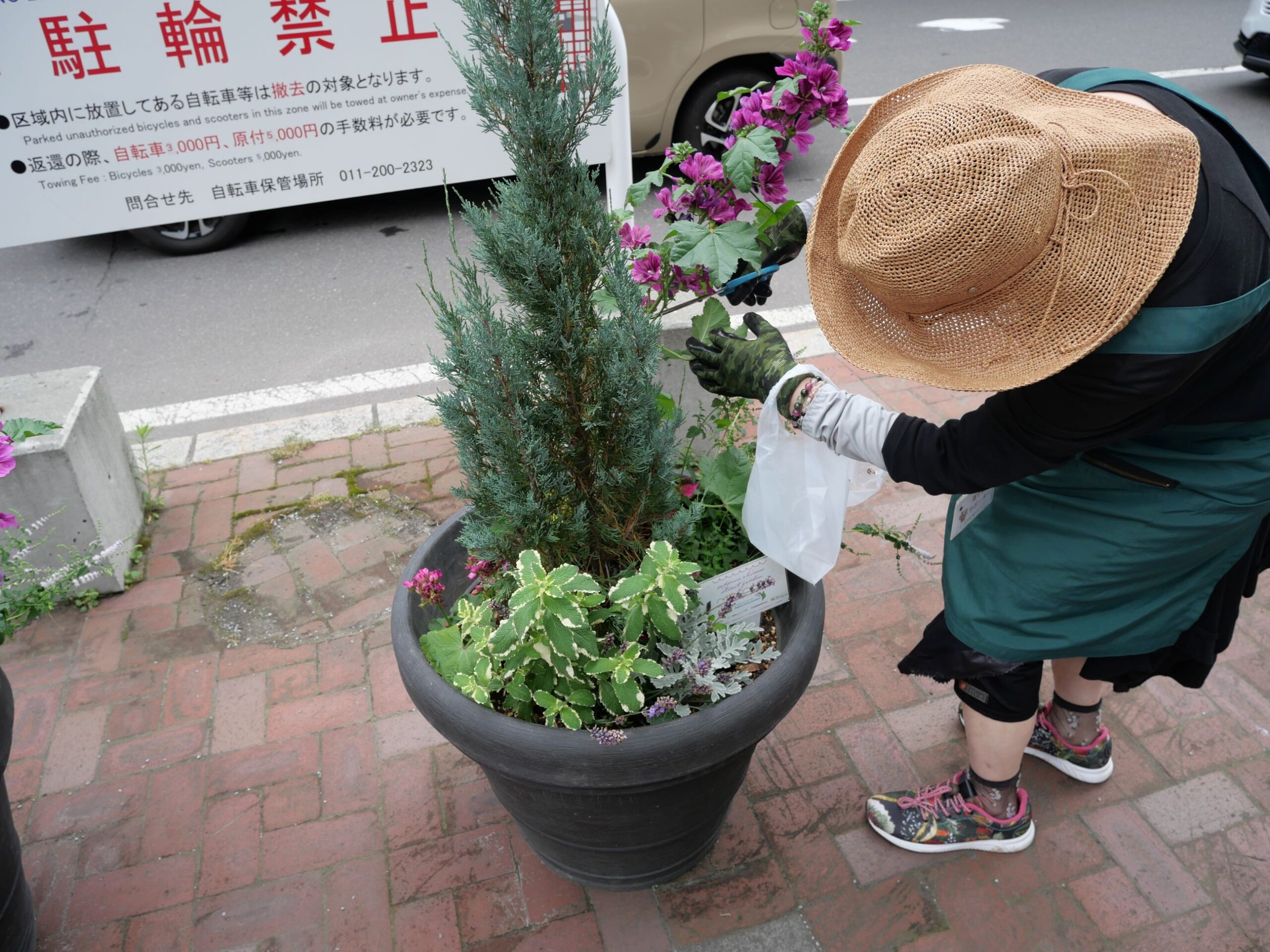 メンテナンスの様子