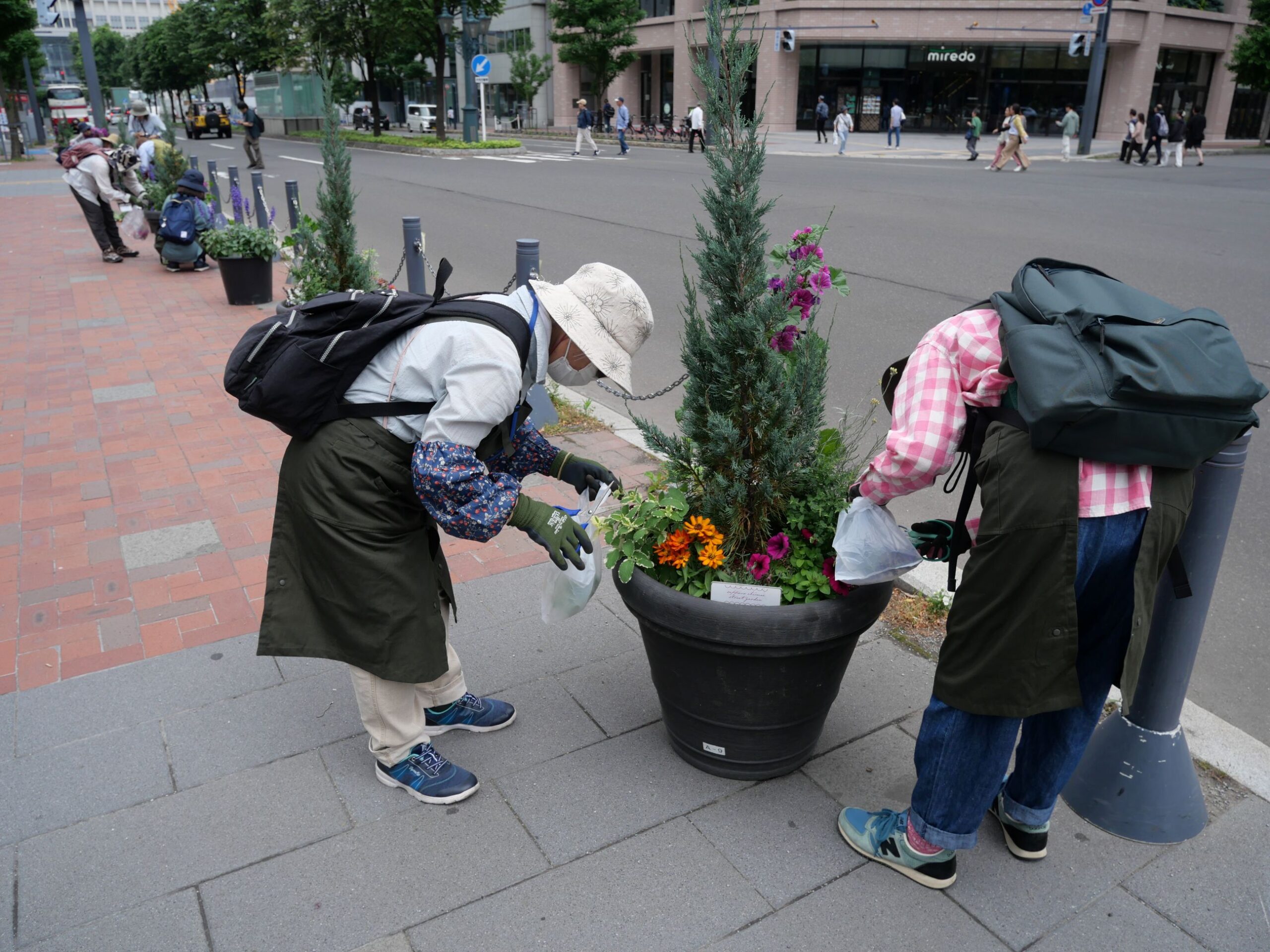 メンテナンスのようす