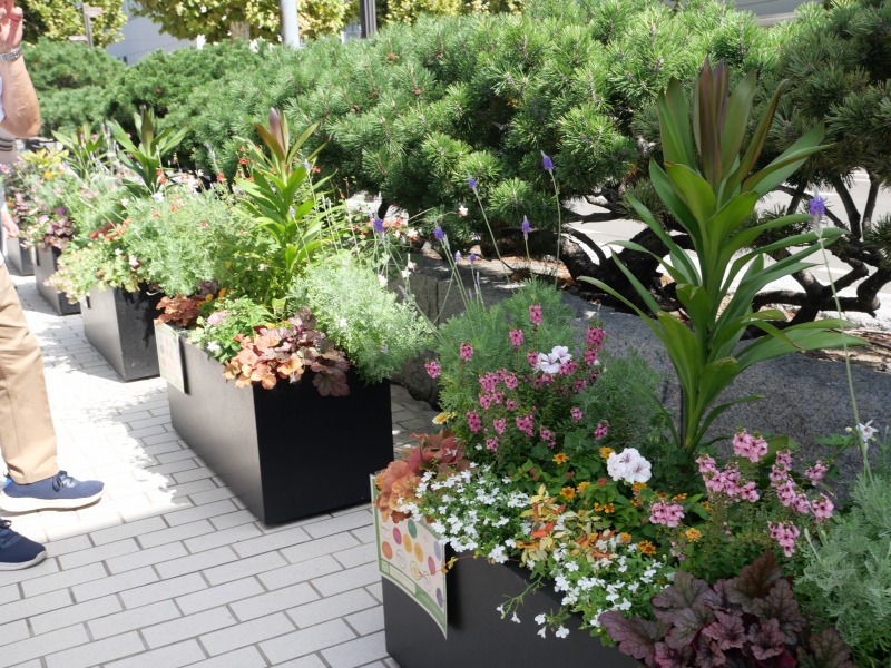 2025年のフラワーズのコンテナ