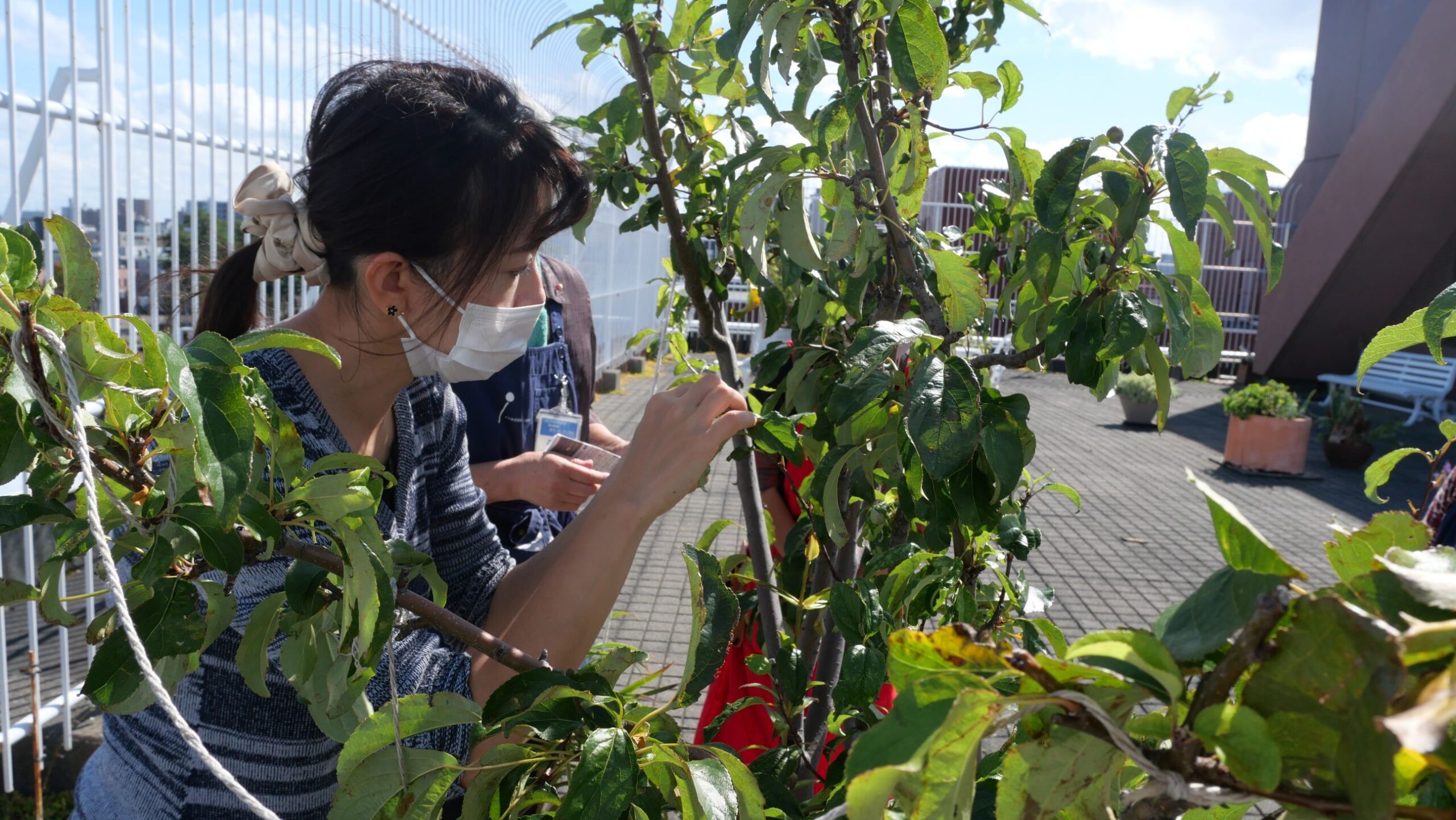 講師の石垣さん