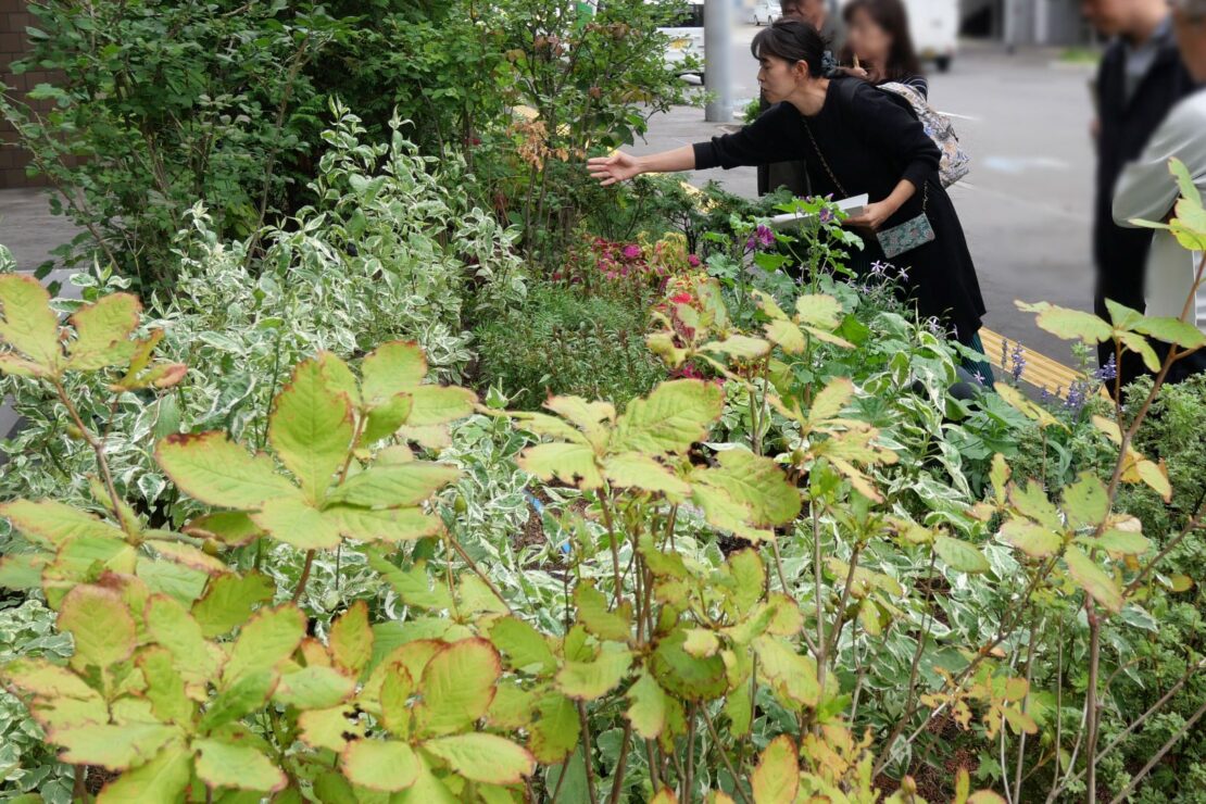 エントランス前の花壇の様子