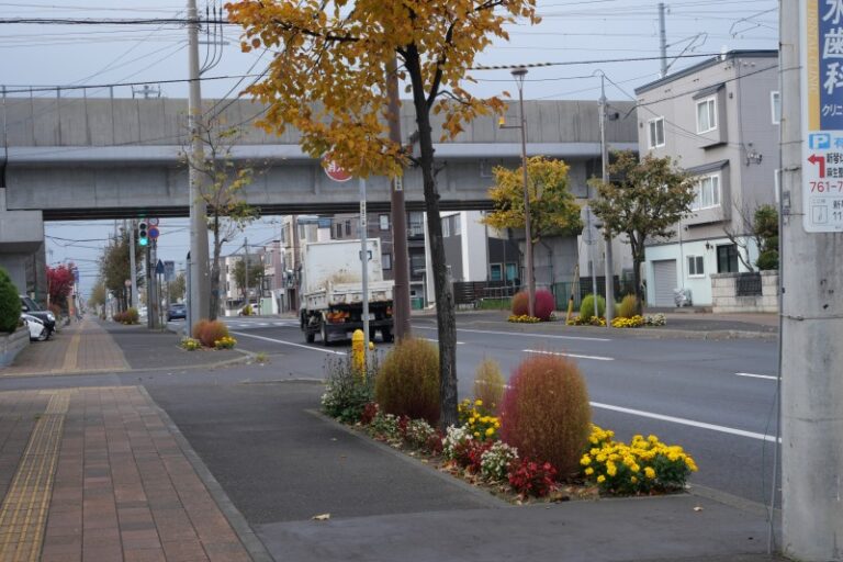 新琴似六番通りの入り口の様子