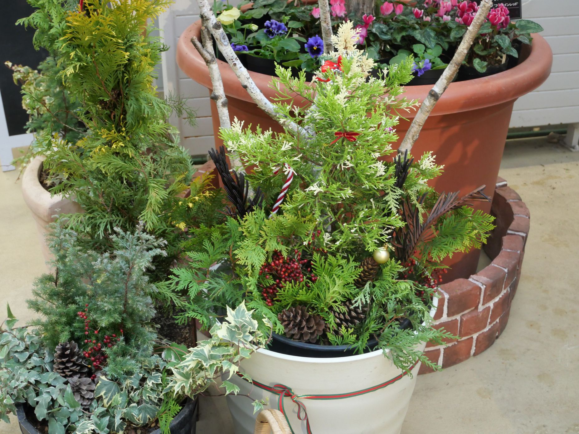 小さな鉢植えもクリスマス仕様に