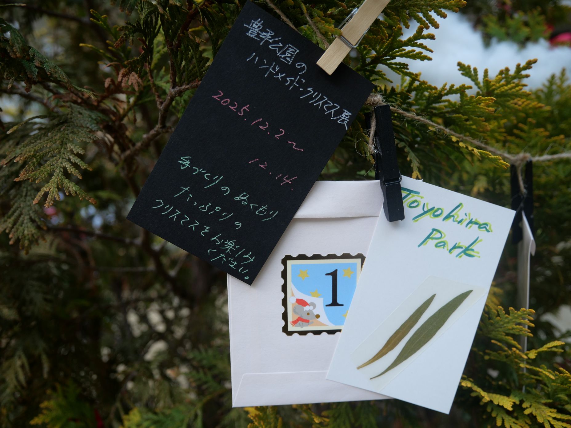 コニファーの装飾のようす