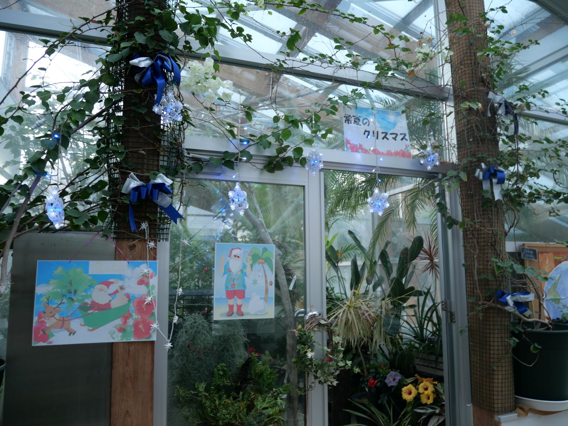 「常夏のクリスマス」のようす