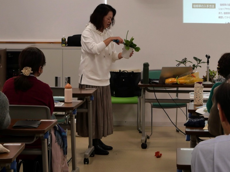 ガーベラの切り戻し