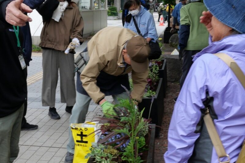「札幌市役所本庁舎前のフラワーコンテナに花苗を植えました」のサムネイル