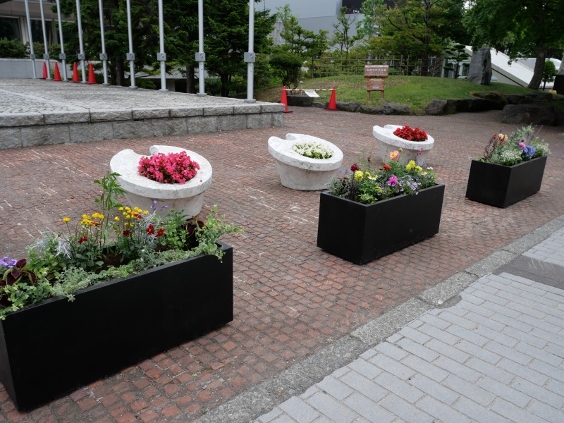 豊平公園花とハーブの会の植えたコンテナ