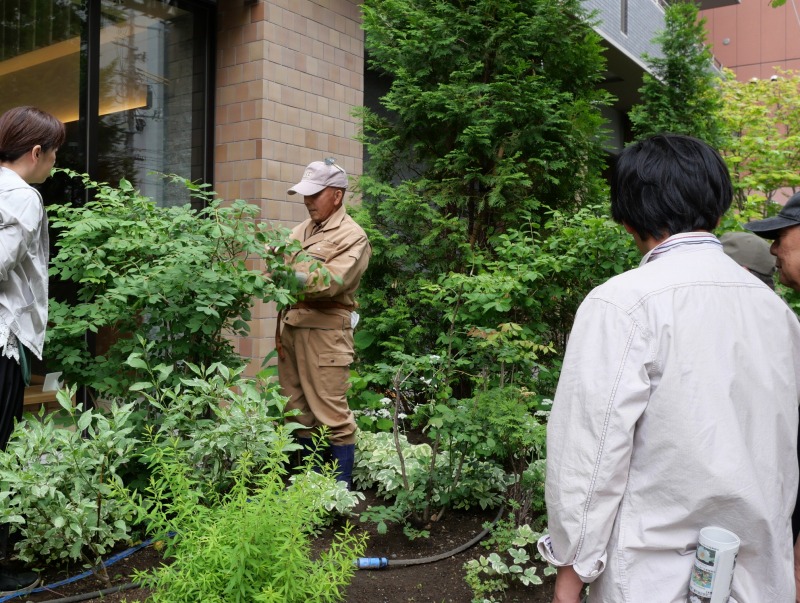 樹種によって異なる切り方を説明している