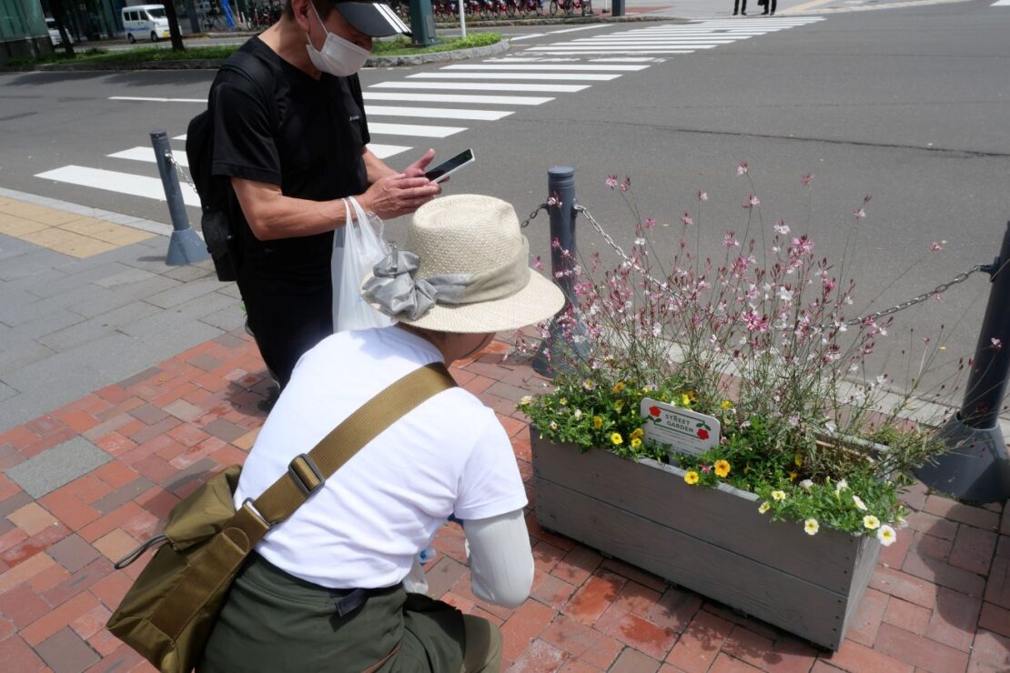道行く人が写真を撮っているようす