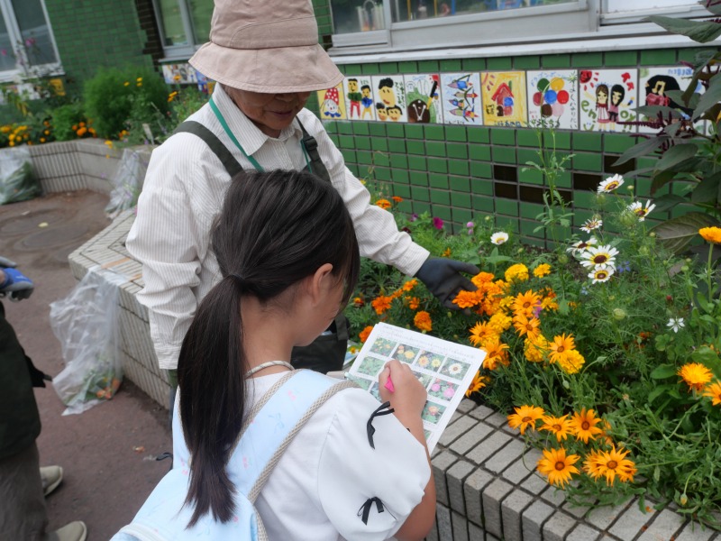 花を教えている