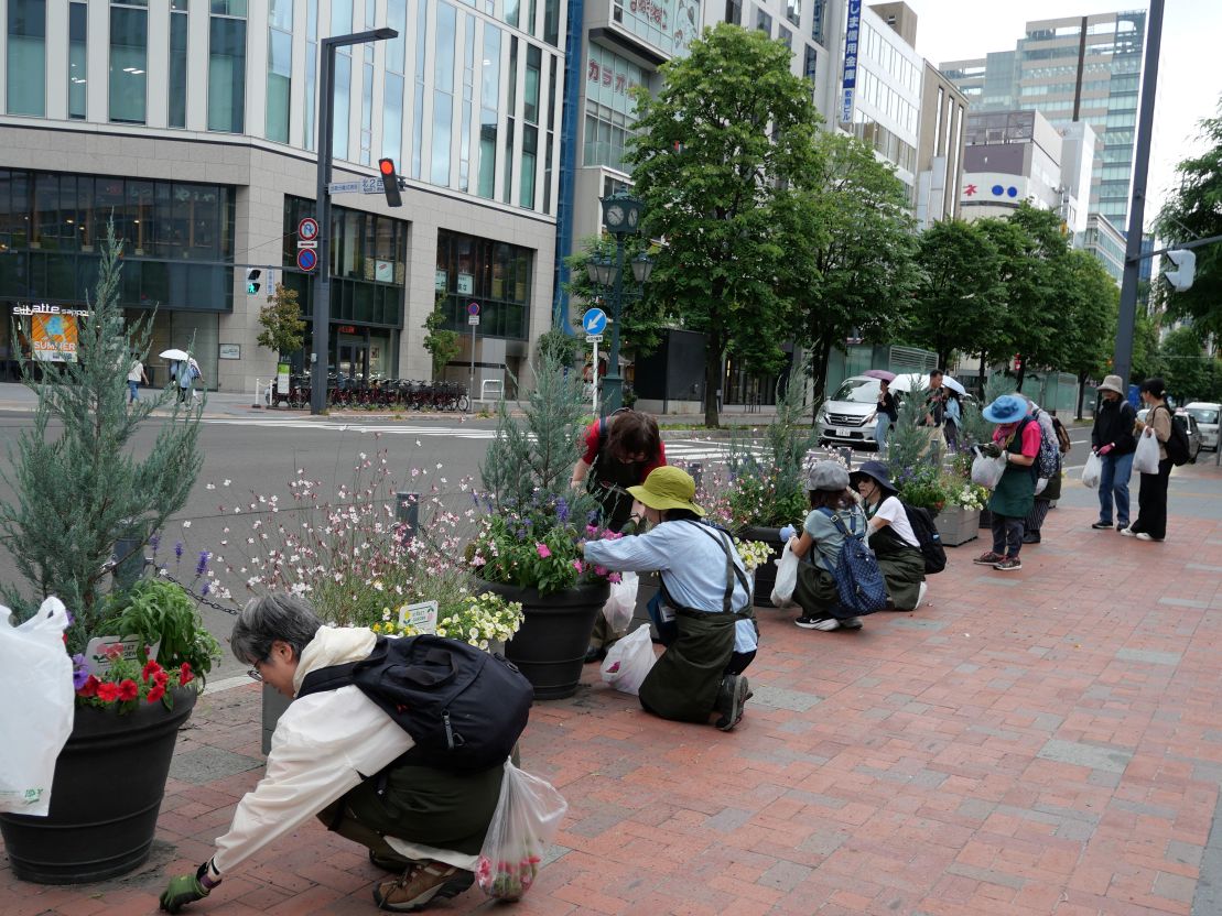 札幌駅前通ストリートガーデンのメンテナンスの様子