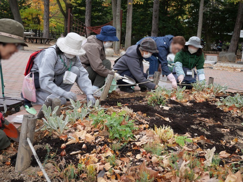 球根植えのようす