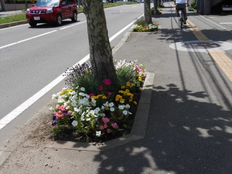 ラベンダーとかわいらしいペチュニアやマリーゴールドの花壇
