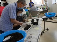 種まきを教えているところ