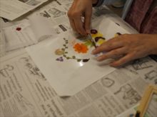 押し花を並べている様子