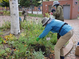 永山記念公園花壇の片付け