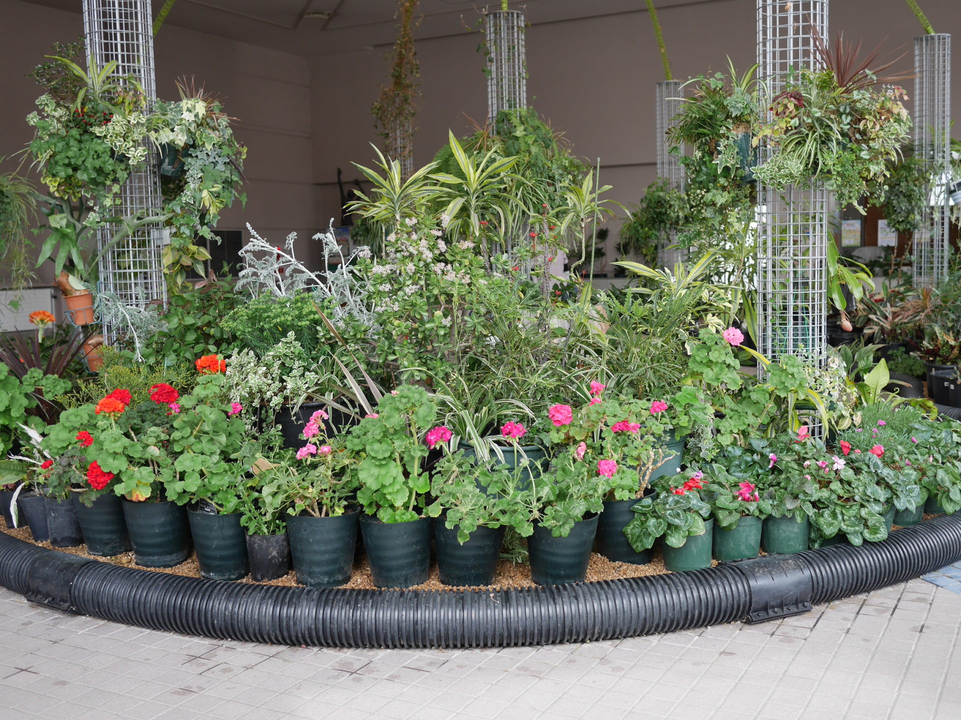 植物の並んだところ