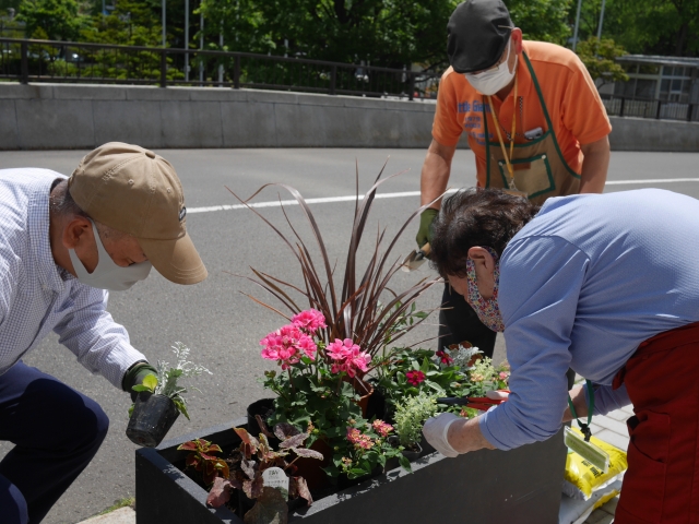 苗植えのようす