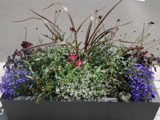 シック・ビューティ班のコンテナ