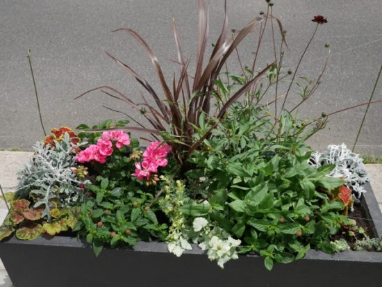 花友達班のコンテナ