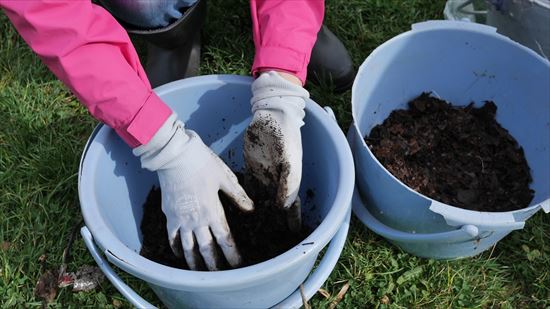 腐葉土を細かくしているところ