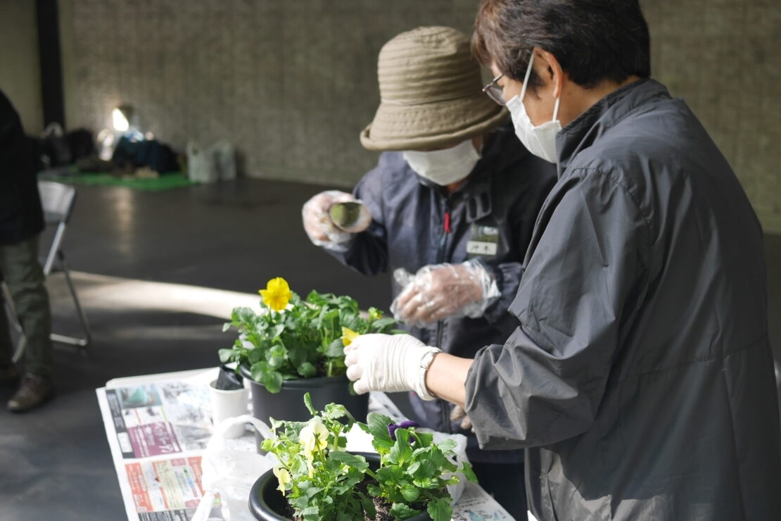 寄せ植えのようす①