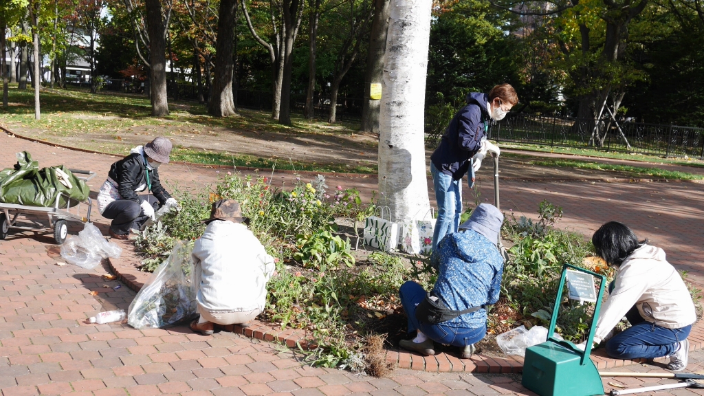 シラカバ花壇の片付け