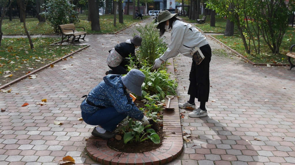 ボーダー花壇への移植
