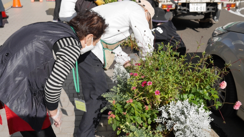 コンテナ片付けで苗を抜くようす