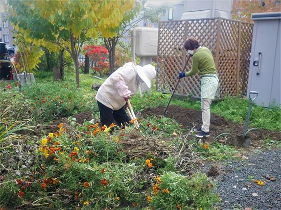 花壇の片付け