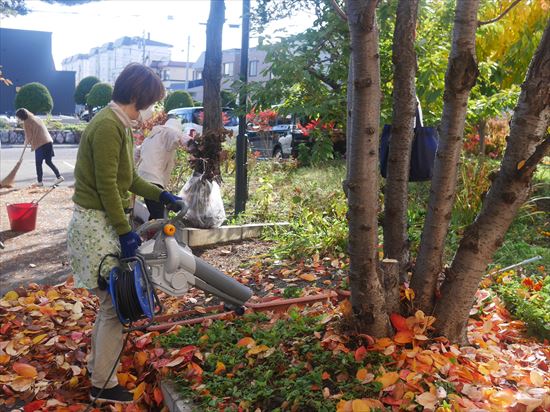 ブロワーで落ち葉掃除