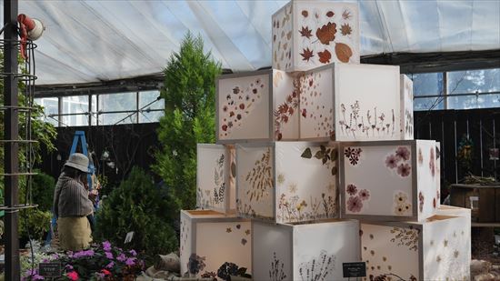 クリスマスディスプレイ展の様子