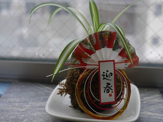 苔玉のお正月飾り