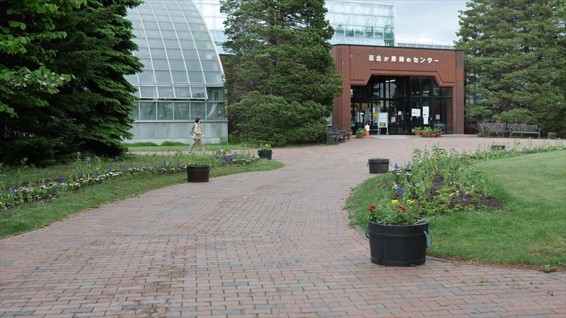 緑のセンター前作成後の様子