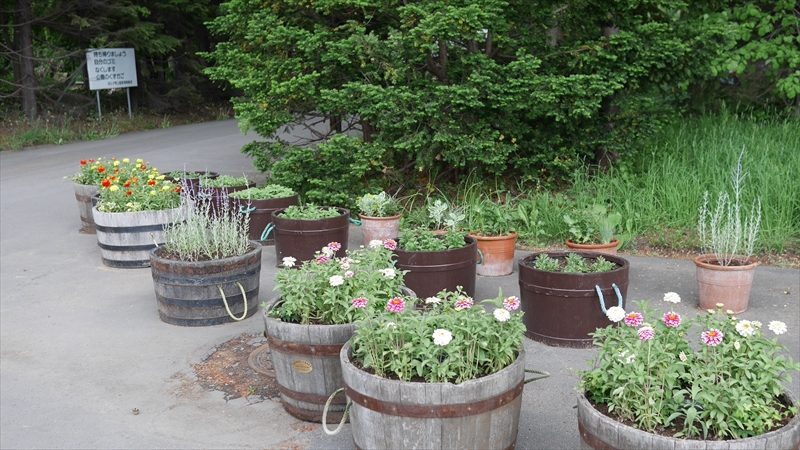 作成後のコンテナ