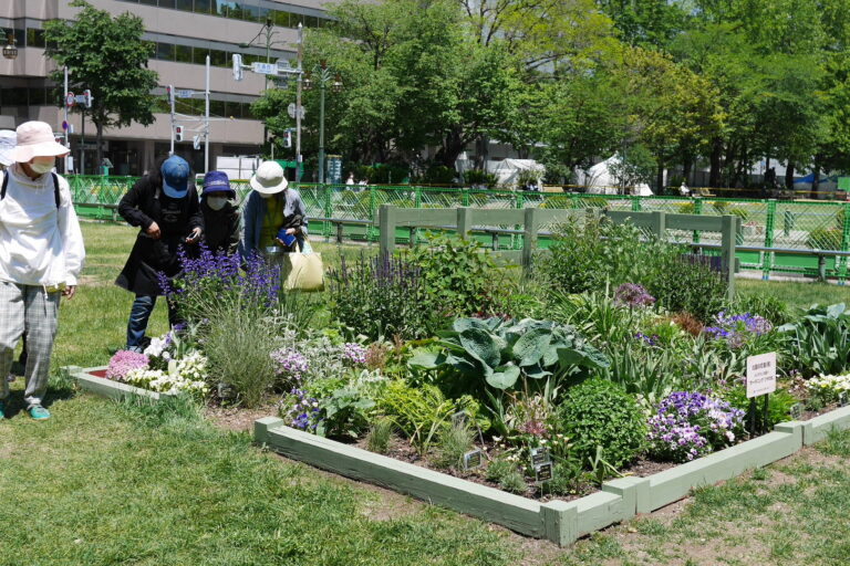 リラの会西８丁目花壇見学会の様子